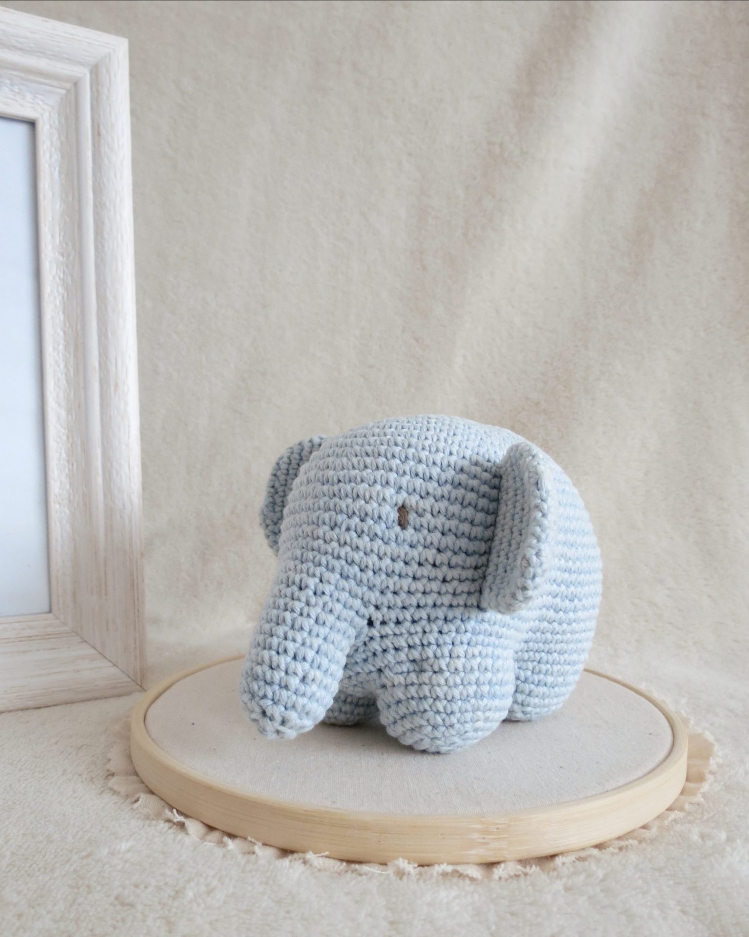 DANTE CELESTE ALGODON